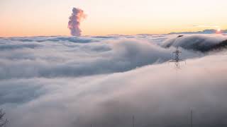 Beauty of nature ( sunrise, flowers, fog ) [ NCS - ON & ON ] screenshot 5