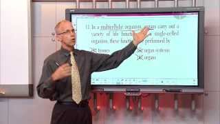 Homework Hotline: Science Review: Organ Functions