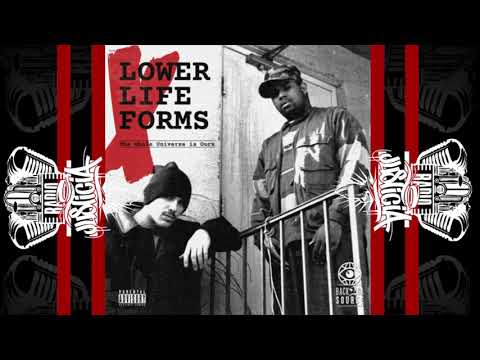 Lower Life Forms — Lower Life Forms -  The Whole Universe Is Ours [Full Vinyl] (2021 / Recorded 1996-97)