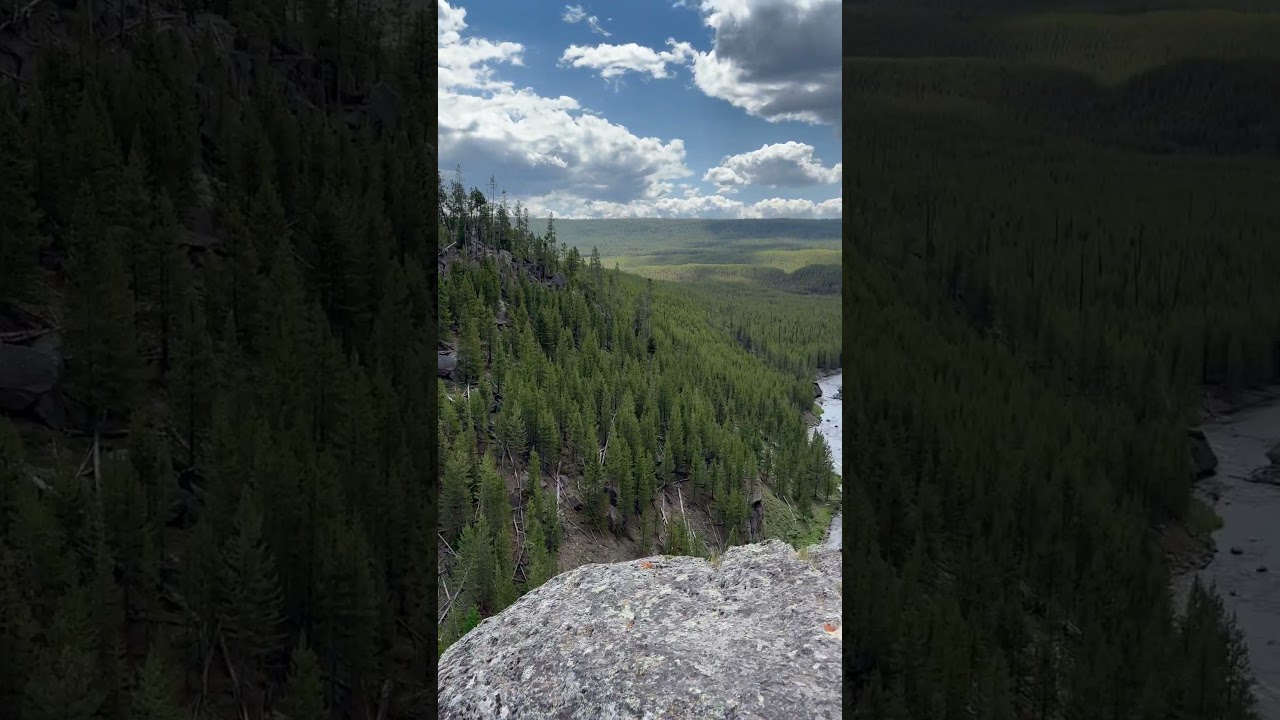 Gibbons Falls in Yellowstone National Park 