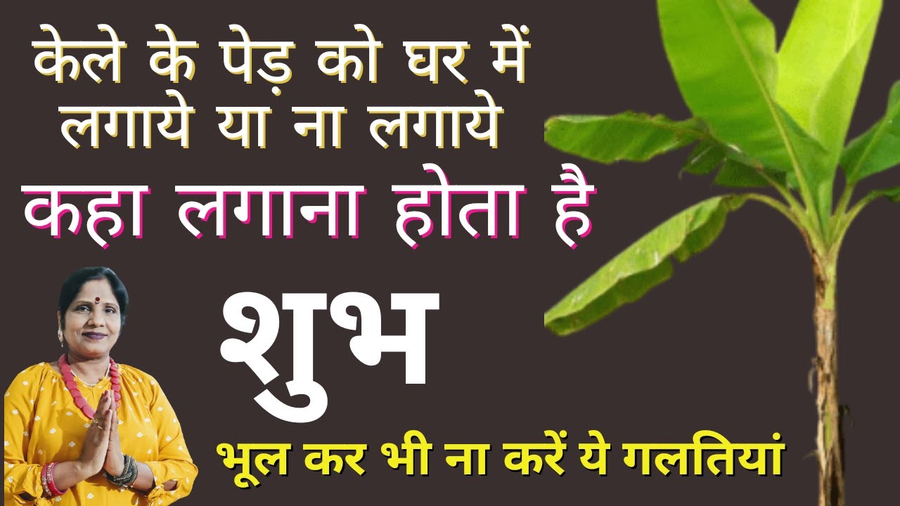 कही आप भी तो केले का पेड़ लगते हुए नहीं कर रहे ये गलती? केले का पेड़ घर में लगाये या ना लगाये