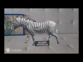 Augmented reality zebra animals wwwar4youorg