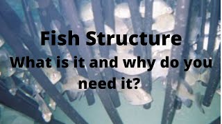 What is Fish Structure and why do you need it?
