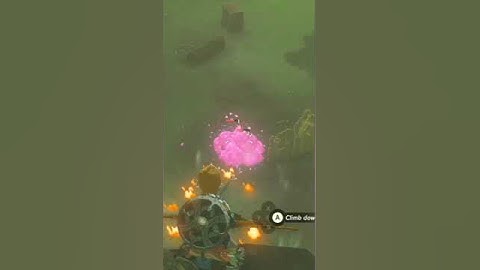 Me failing miserably at Zelda games. #zelda #totk #botw #zeldatotk #zeldabotw