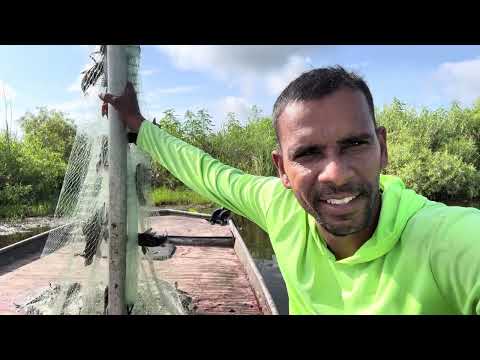 #fishing Hassa wedding house
