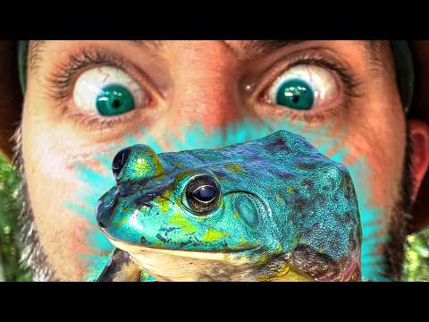 GENETIC MUTANT Animals Compilation - The Rarest Finds!