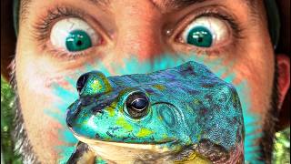 GENETIC MUTANT Animals Compilation - The Rarest Finds!