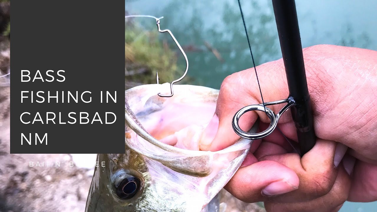 Carlsbad New Mexico Bass Fishing (Black River) YouTube