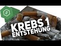 Wie entsteht Krebs?! - Krebs 1 ● Gehe auf SIMPLECLUB.DE/GO & werde #EinserSchüler