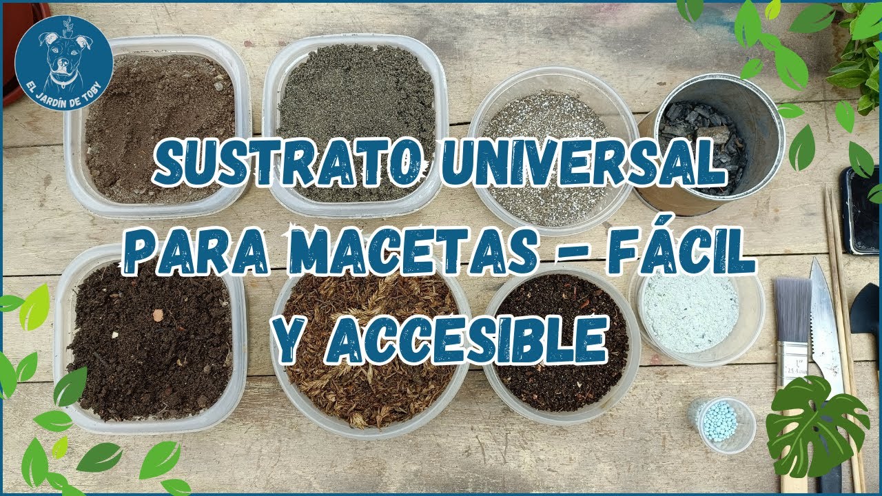 Sustrato universal para macetas fácil y accesible.🪴🐶