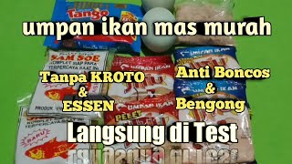 Cheap and accurate goldfish bait concoction || anti boncos dan bengong || without essen and kroto