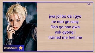 Stray Kids - 