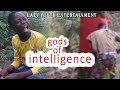 Gods of intelligencelazy youth entertainment