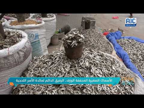 صباحك ياعدن | الوزف الأسماك الصغيرة المجففة... الرفيق الدائم لمائدة الأسر اللحجية تقرير