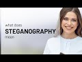What Is Steganography? | Clear Explanation of Its Meaning and Uses 🕵️‍♂️