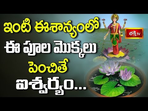 ఇంటి ఈశాన్యంలో ఈ పూల మొక్కలు పెంచితే ఐశ్వర్యం || Dharma Sandehalu || Bhakthi TV