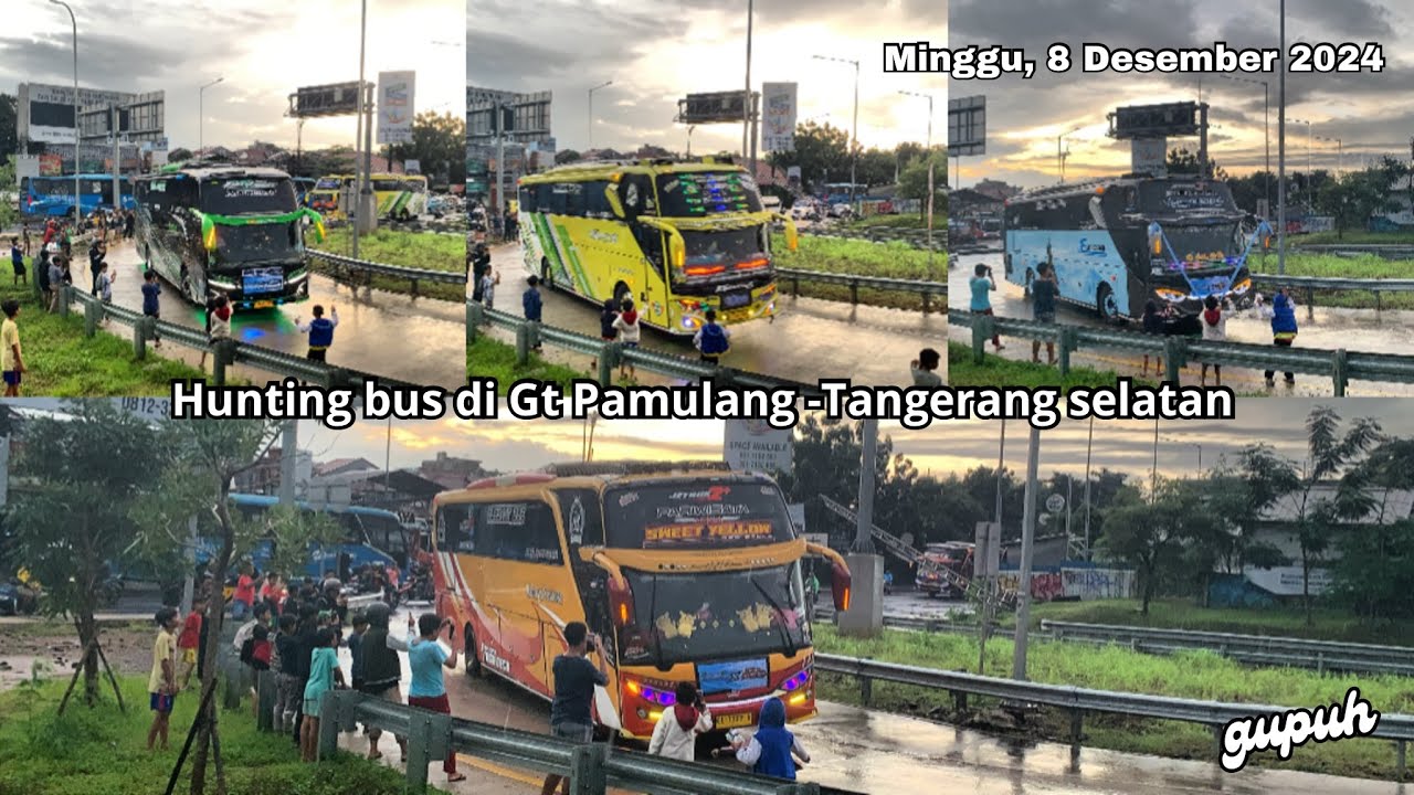 Hunting bus di Gt Pamulang - Tangerang selatan, banyak unit artis🤩 rombongan trip Anyer tangsel gang