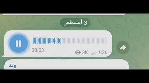 سورة القلم _فهد واصل المطيري