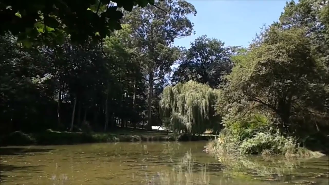 El Carbayu.  Área recreativa de Lugones, Asturias.