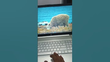 Epson projector no display problem || Epson projector me display problem #automobile #projector