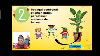 TAHUN 3 : KEPENTINGAN PEMBIAKAN TUMBUH-TUMBUHAN TAHUN 3 : KEPENTINGAN PEMBIAKAN TUMBUH-TUMBUHAN