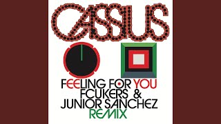 Feeling For You (Fcukers & Junior Sanchez Remix)
