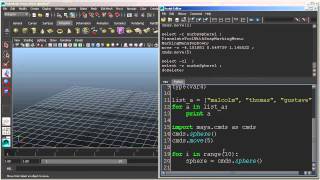 Basic Python Example: Variables and For Loops