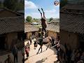 🎪 Unbelievable circus moment! // #CircusLife #Unbelievable #AnimalShow #Acrobatics #ViralVideo #OMG