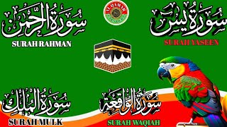 Ep 211 Surah Yaseen 🕋 Surah Rahman 🕋 Surah Waqiah 🕋 Surah Mulk 🕋 Ayatul Kursi @IQRAALQURANKARIM