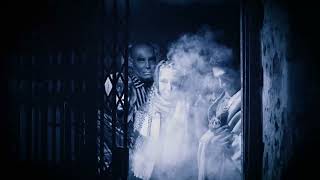 THE NEGATION - II