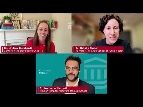 Webinar: La estabilidad es fundamental para el desarrollo en la primera infancia
