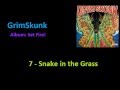 Miniature de la vidéo de la chanson Snake In The Grass