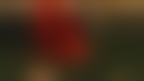 Brutal DOOM : Fatalities