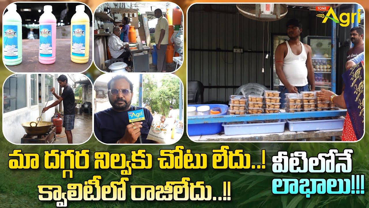 Buffalo Dairy Farm Business | మా దగ్గర నిల్వకు చోటు లేదు..! క్వాలిటీలో రాజీలేదు..!! లాభాలు Tone Agri