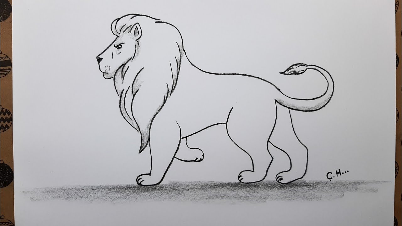 Roaring lion drawing at getdrawings HD wallpapers | Pxfuel