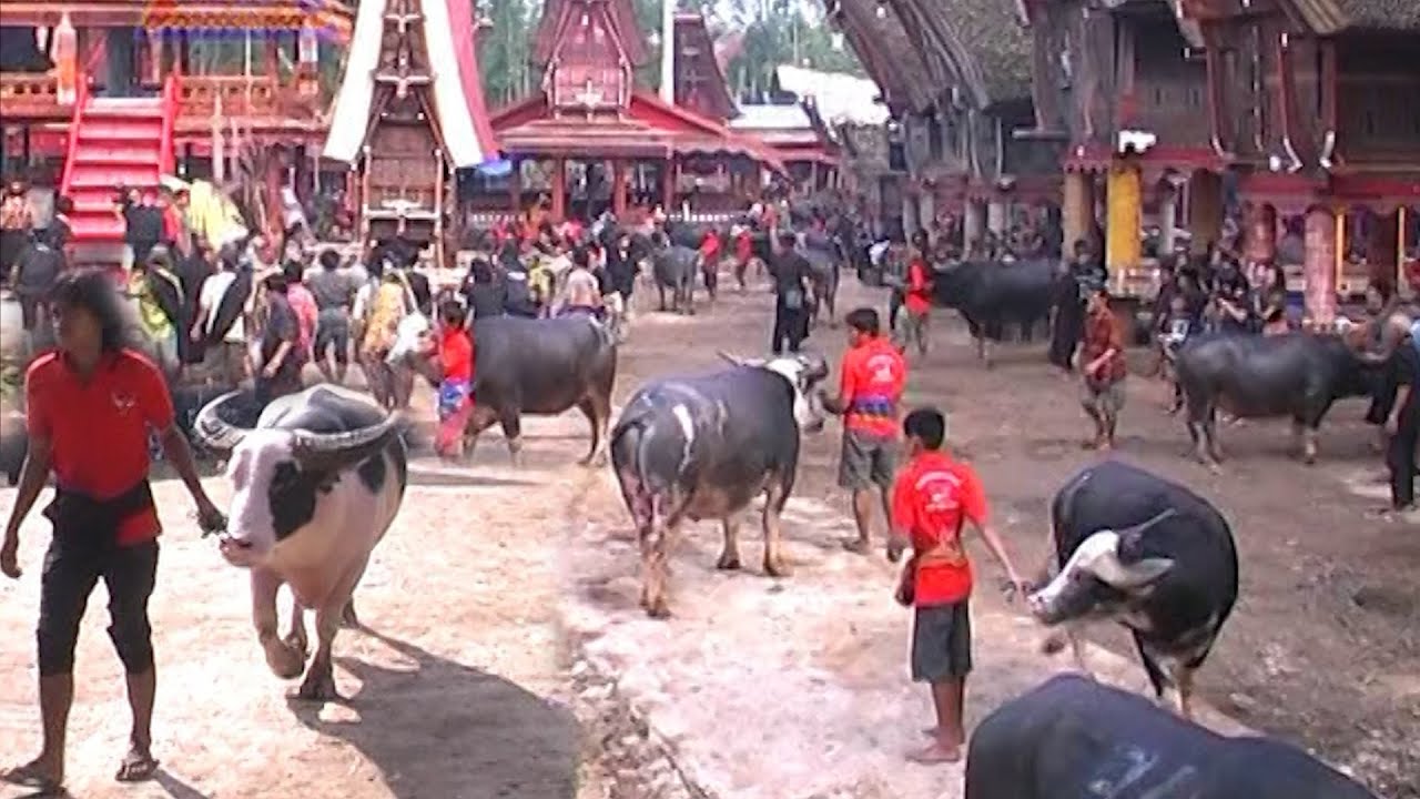 Pemakaman termahal di Sangalla Toraja