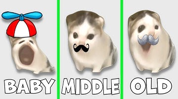 German Cat Everytime with more age