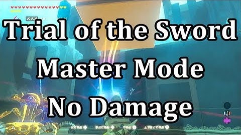 BotW: Trial of the Sword Master Mode No Damage