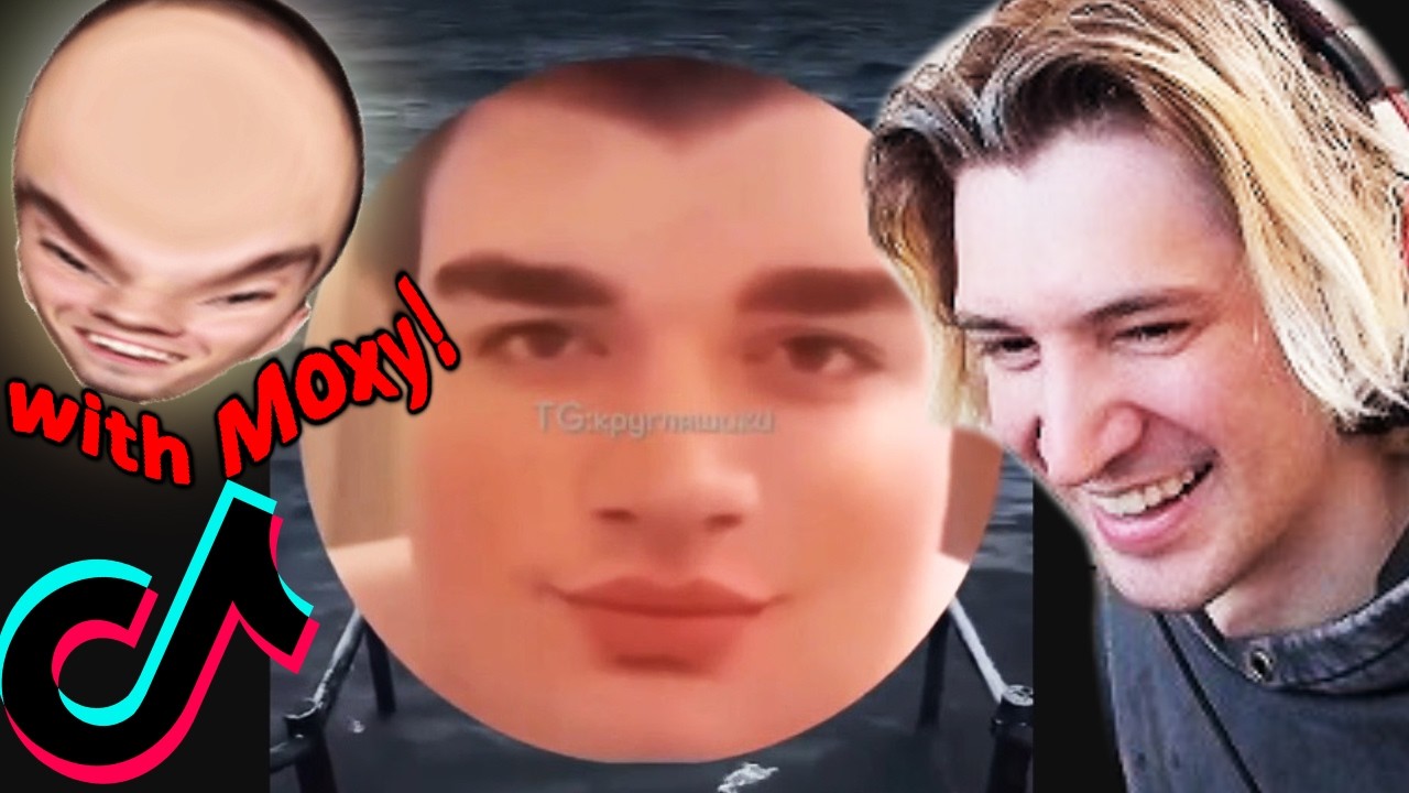 Moxy Sent Me The FUNNIEST TIK TOKS