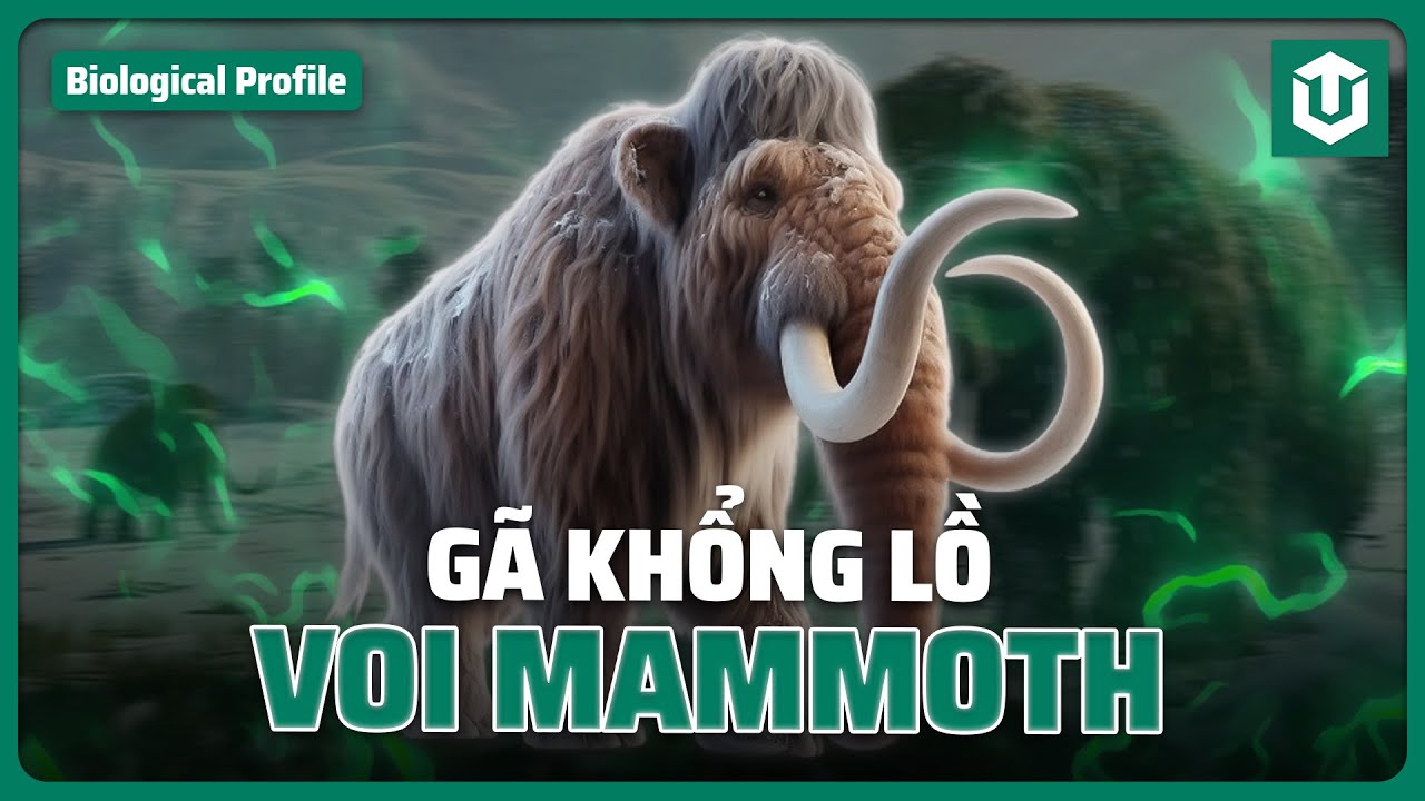 VOI MAMMOTH - GÃ KHỔNG LỒ kỷ băng hà CHỜ TÁI SINH | SINH VẬT THỜI TIỀN SỬ S7 | ULTREXSHARE