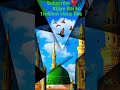 z Eid Mubarak #youtube #meme #viral #explorepage #likes #bhfyp #tiktok #trending #live