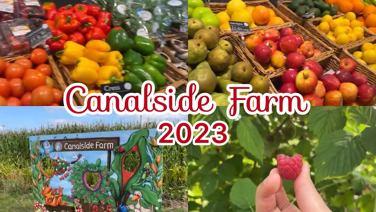 Canalside Farm | Canalside Farm Shop | 2023 | picking Fruits