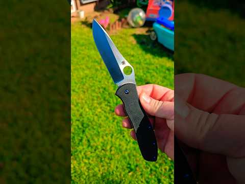 The Texas Designed Spyderco Gayle Bradley 2    