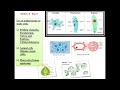 SSC PBA BIOLOGY FBISE Lecture 15