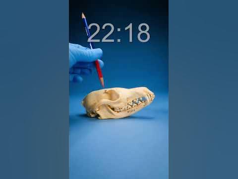 Did you get it right? What time? - YouTube