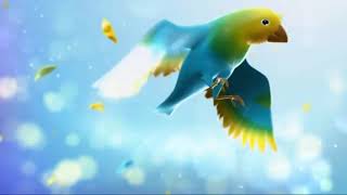 Vasantham Ident (August 2012-2015) (Version 1)