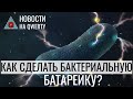 Датчик внутри эмбриона и прозрачный камуфляж. Главное на QWERTY №127