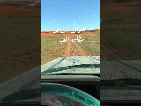 شيلة البر جوة غير شيلة جديد بر 