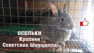:   