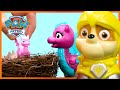 PAW Rescue Knights Save Baby Dragons & More 🏰 | PAW Patrol Compilation | Toy Pretend Play for Kids